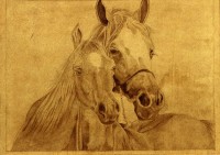 Rabia Qazi, Horses, 6 x 8 Inch, Neem Rang, Horse Painting, AC-RAQ-CEAD-029